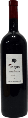 39,95 € 免费送货 | 红酒 Bodegas Aragonesas Fagus D.O. Campo de Borja 阿拉贡 西班牙 Grenache 瓶子 Magnum 1,5 L