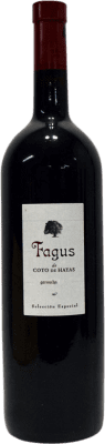 57,95 € Free Shipping | Red Wine Bodegas Aragonesas Fagus D.O. Campo de Borja Aragon Spain Garnacha — Grenache Magnum Bottle 1,5 L