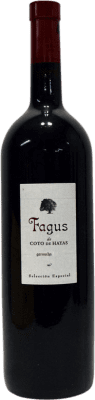 53,95 € Free Shipping | Red wine Bodegas Aragonesas Fagus D.O. Campo de Borja Aragon Spain Grenache Magnum Bottle 1,5 L