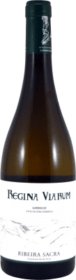 15,95 € Envoi gratuit | Vin blanc Regina Viarum D.O. Ribeira Sacra Galice Espagne Godello Bouteille 75 cl