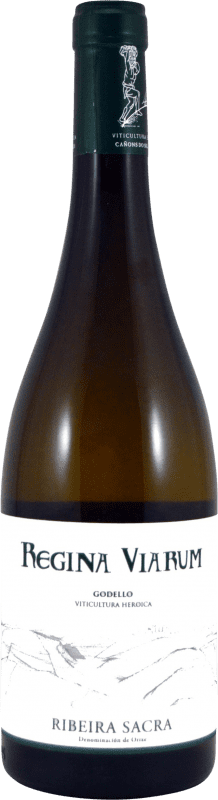 15,95 € Envío gratis | Vino blanco Regina Viarum D.O. Ribeira Sacra Galicia España Godello Botella 75 cl