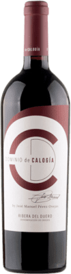 77,95 € Envoi gratuit | Vin rouge Dominio de Calogía D.O. Ribera del Duero Castille et Leon Espagne Tempranillo Bouteille 75 cl