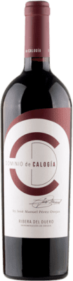 77,95 € Envío gratis | Vino tinto Dominio de Calogía D.O. Ribera del Duero Castilla y León España Tempranillo Botella 75 cl