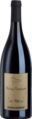 56,95 € Free Shipping | Red Wine Antoine Sanzay La Paterne A.O.C. Saumur-Champigny France Cabernet Franc Magnum Bottle 1,5 L